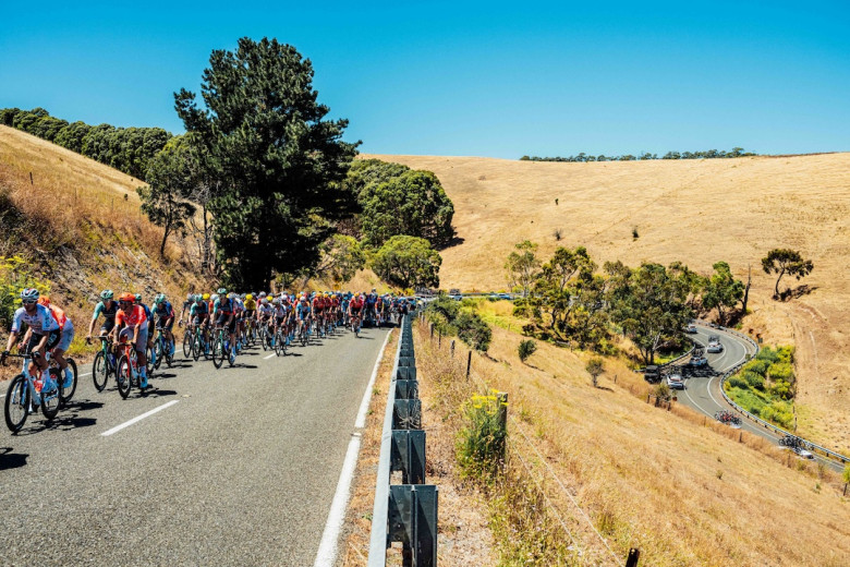 Tour Down Under - Pas de Willunga Hill... le nouveau parcours de la 4e étape #TourDownUnder #TDU #WillungaHill #Vine #Narvaez