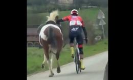 Arden Challenge - Un jeune coureur belge s'arrête pour stopper un cheval !