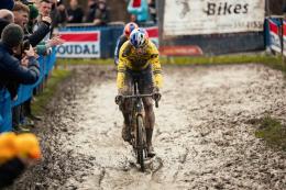 Cyclo-cross - Wout Van Aert va mieux et «de retour sur la bonne voie»