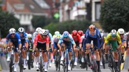 Circuit du Houtland - Parcours, profil et favoris du 78e Omloop van het Houtland