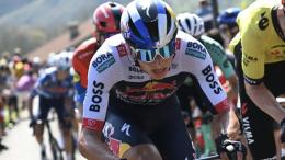 Route - Florian Lipowitz, le Tour de France mais de Giro d'Italia en 2026