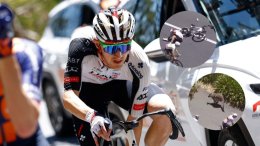 Tour Down Under - Bilan médical lourd pour Mikkel Bjerg suite à sa chute