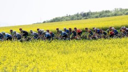 Tour de Romandie - Les villes-étapes de 2026 dévoilées... pas de contre-la-montre