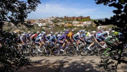 Tour d'Algarve - Volta ao Algarve 2026 : parcours, forces en présence… tout savoir