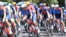 Tour du Pays Basque - Guillaume Martin et Quentin Pacher mèneront Groupama-FDJ
