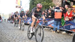 Tour des Flandres - Inquiétudes pour Matteo Trentin, à l’hôpital après sa chute