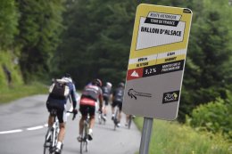 Tour de France - 872 arbres vont être abattus au Ballon d'Alsace à cause du Tour ?