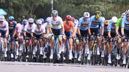 Championnats du Monde - Les équipes de marque les mieux représentées aux Mondiaux