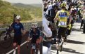 Gran Fondo  Chris Froome a refait le coup du Tour de France 2016 dans le Ventoux
