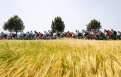 Tour de Slovénie Startlist, parcours, favoris... le Tour de Slovénie 2026