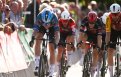 Circuit du Houtland  Tim Merlier vainqueur de l'Omloop van het Houtland