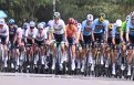 Championnats du Monde Red Bull est l'équipe la plus représentée sur ces Mondiaux